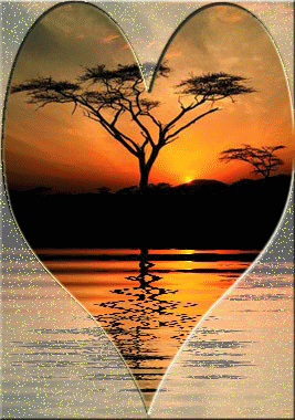 coeur reflet coucher de soleil
